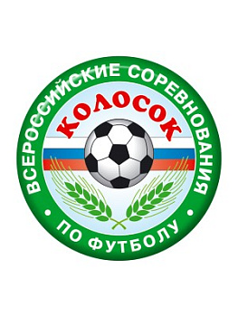 Вкладыш бумажный 25 мм на заказ
